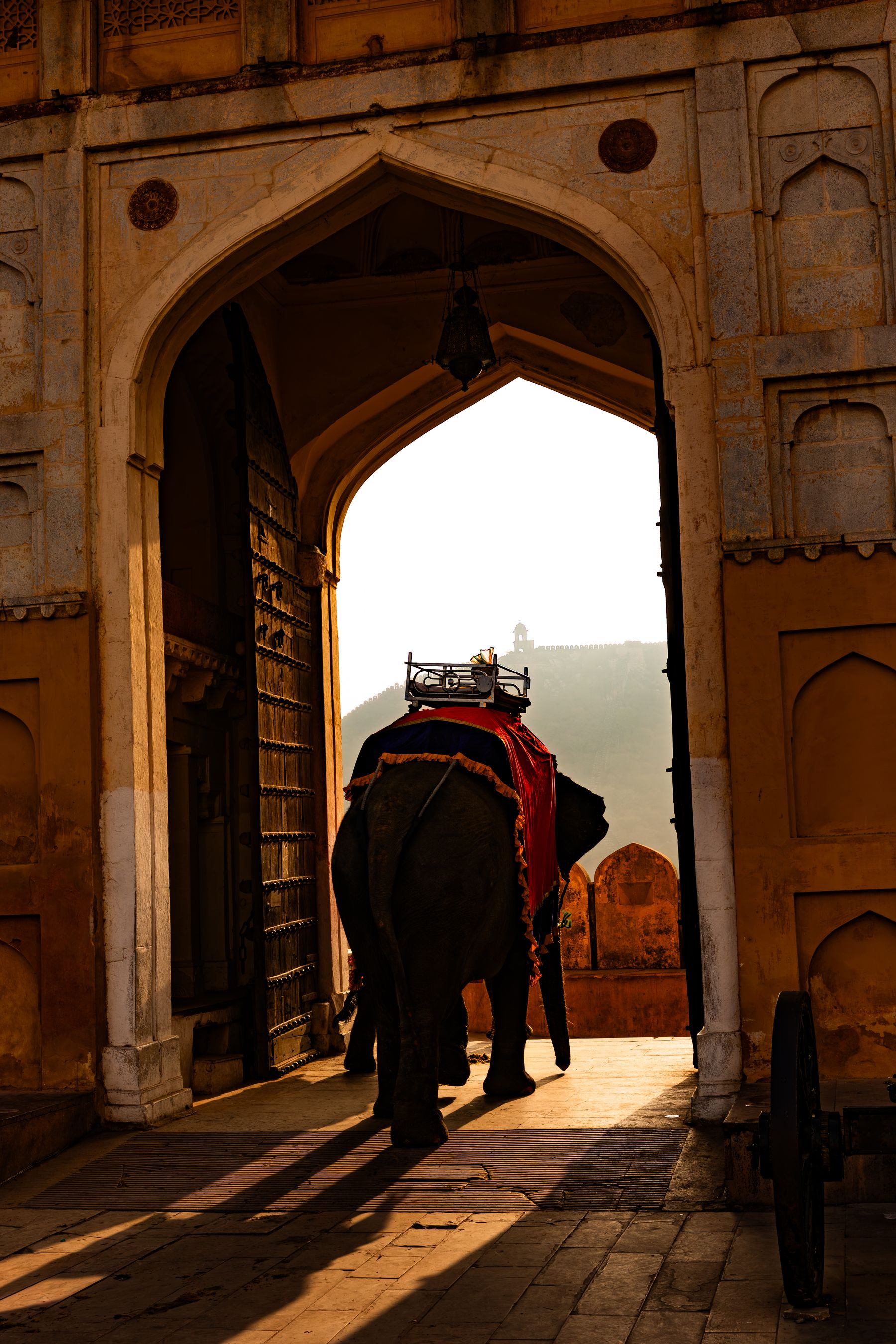 Amer Palace Gateway And Elephant